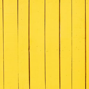 wood fence painted yellow